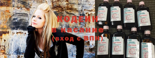 дурь Алексин
