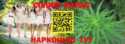 амф Новодвинск