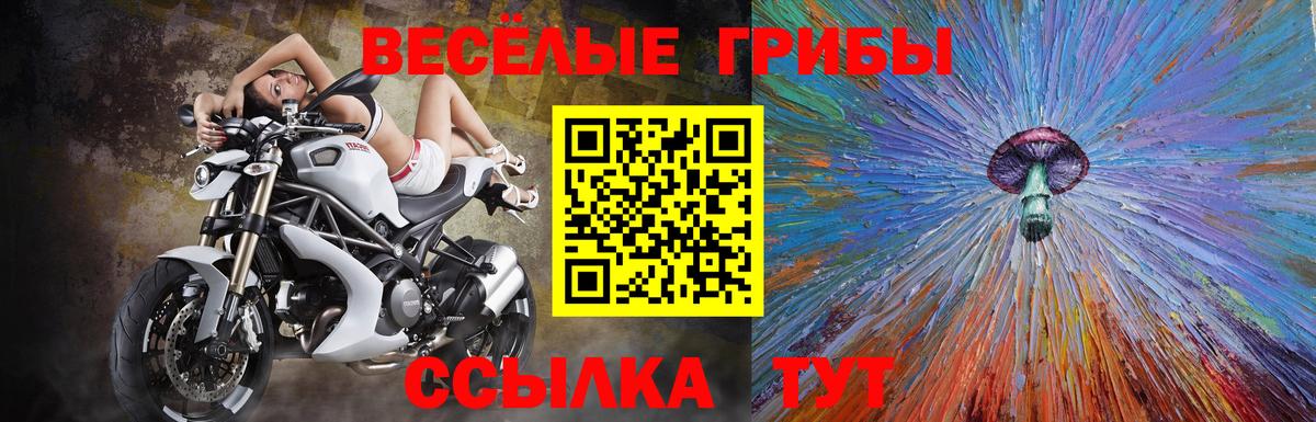 Псилоцибиновые грибы MAGIC MUSHROOMS Тула