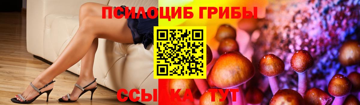Тула  где купить наркотик  Вход с VPN  Псилоцибиновые грибы прущие грибы 